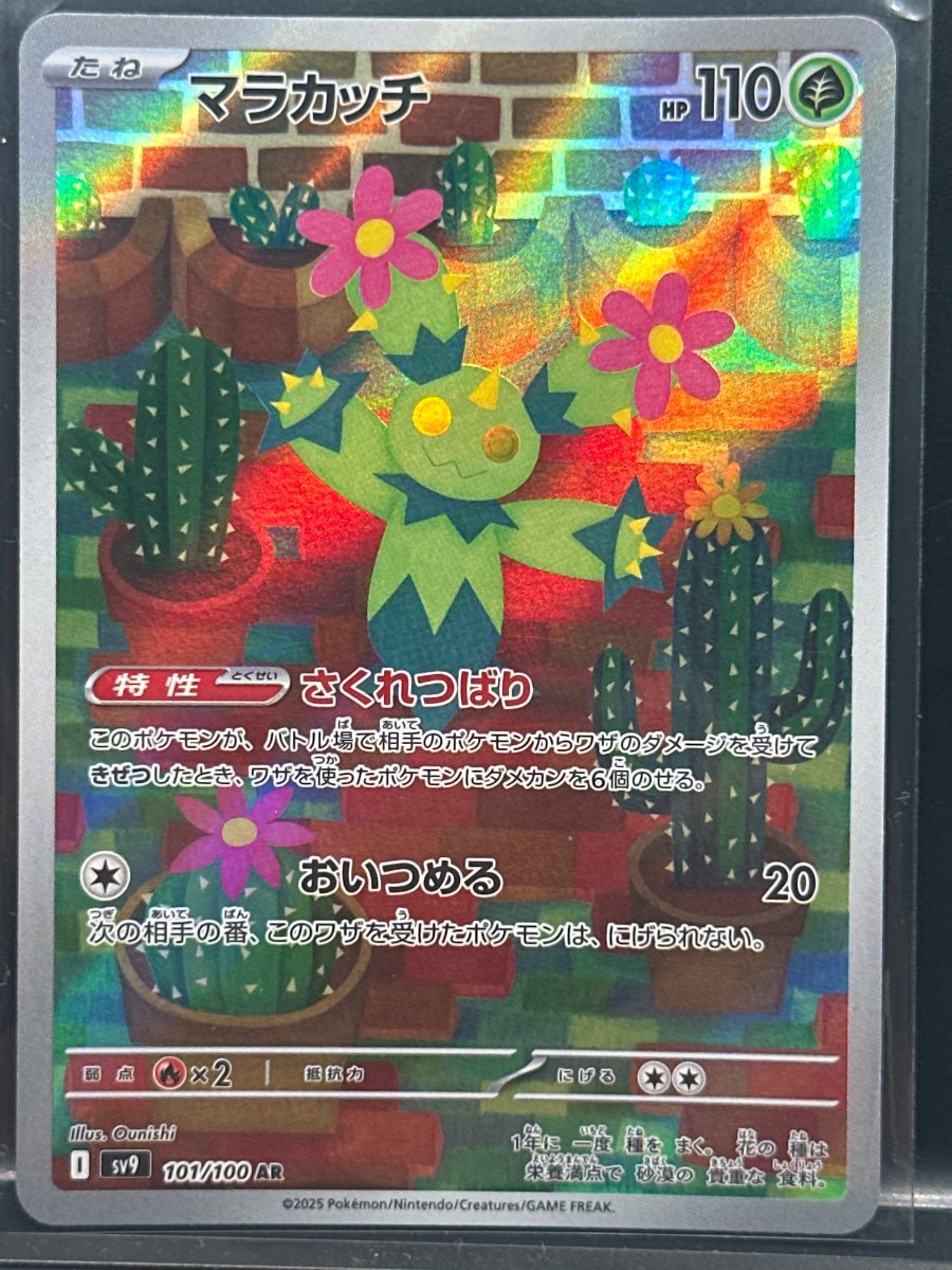 Recto de マラカッチ