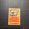 Reshiram
